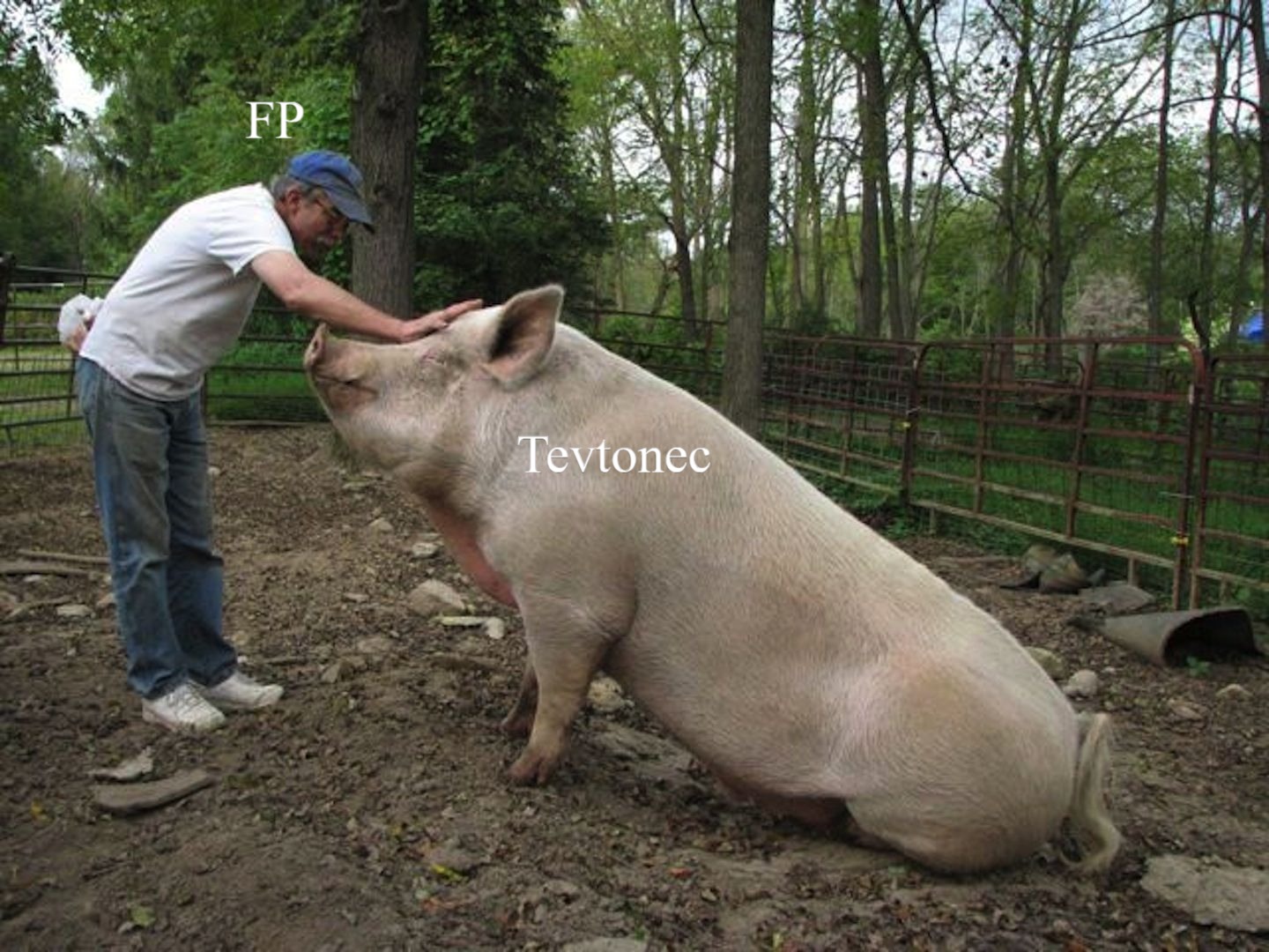 3cfa51bf9d4b6763f355c6ab84361c70 (1).jpg