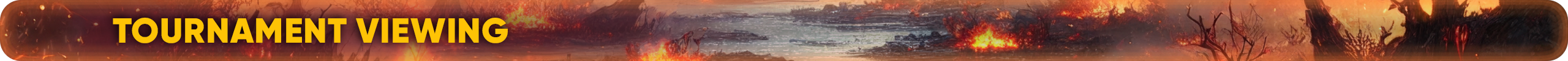 Tournament-Viewing.png