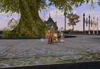 Shot00204.jpg