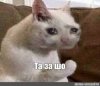 Без названия.jpg