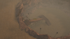 9.png