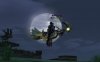 Shot00069_cr.jpg