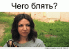 1565423100129520732.gif