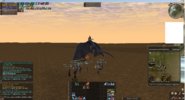 wtf1.jpg