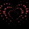 FB02A8B3-E8BF-42D8-B96F-3CF71B07BE30.gif