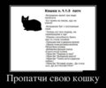 1657204219.jpg