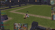Shot00133.jpg