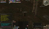 Shot00012.jpg