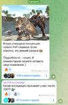 IMG_2515.jpeg