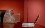 d696177e218c58adfc827af063517b10.gif