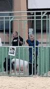 GIF_20240416_224509_213.gif