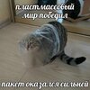 IMG_2166.jpeg
