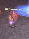 IMG_1656.jpeg