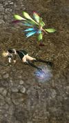 IMG_6485.png