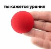 IMG_2997.jpeg
