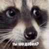 chpic.su_-_EnoticRa_035 (1).png