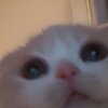 xYWVrHjl3uQ.jpg