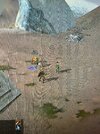 IMG_2120.jpeg