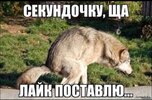 AgRpTzyyhJdWRjFkssXKLamZAaX97MV-Ft3HrPMMC3Moii9LwJ4bax032FtSumOsXZ-kSOEavX5Dv4eIFQj5GFVG.jpg
