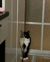 IMG_1406.png