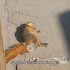 IMG_1290.jpeg