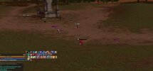 IMG_2322.jpeg