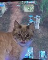 IMG_0062.jpeg
