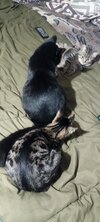 IMG_20231217_224343.jpg