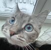 IMG_0163.jpeg