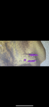 E904DF92-B1C9-44EC-8CB9-A28D0418E533.png