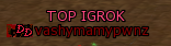 ТОПИГРОК.png