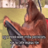 mama-ezgif.com-video-to-gif-converter.gif