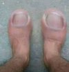 IMG_1175.jpeg