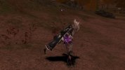 IMG_0563.jpeg