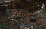 IMG_2964.jpeg