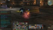 IMG_2769.jpeg
