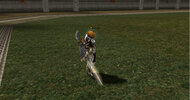 Shot00019.jpg