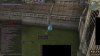 dsadas.jpg