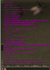 чат 2.PNG