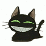 Velion