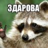 БлевотаЕнота
