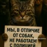 апаратная