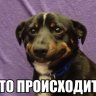 Нажигай-напаливай