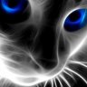ShadowMiracle