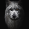 Edgar