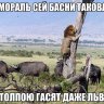 iMarishka