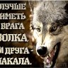 CrazyWolf