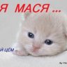 Ptashechka