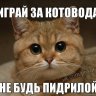 Chelovek