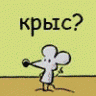 Kadis